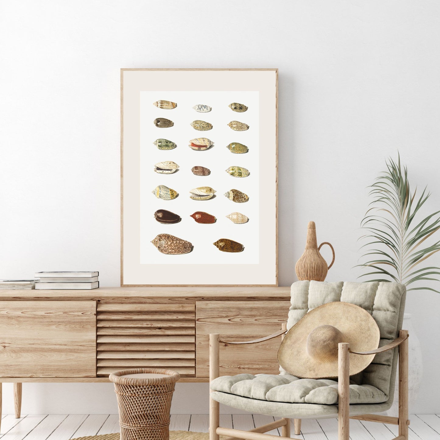 Seashells