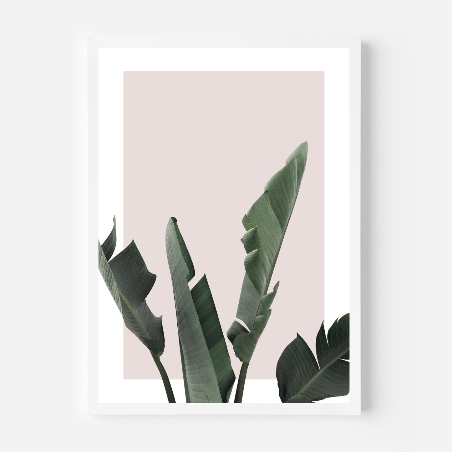 Minimalist Leaves