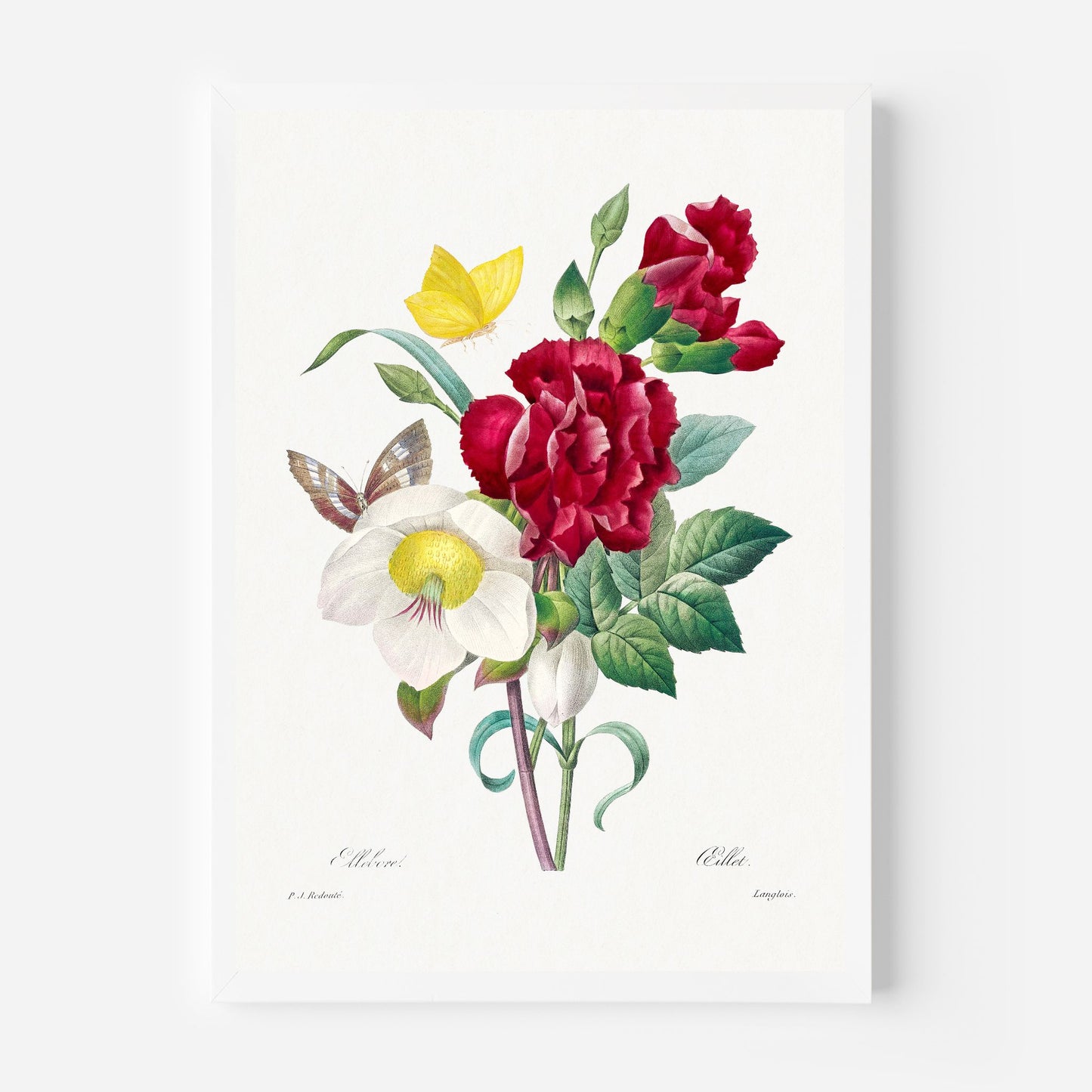 Red Flower