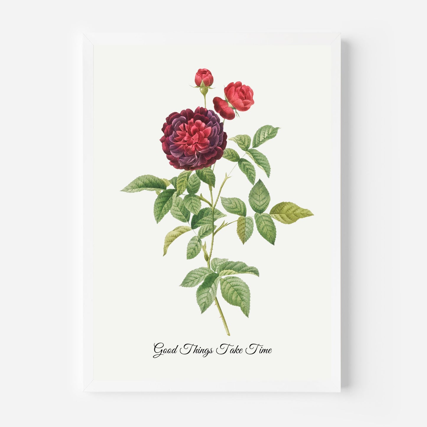 Red & Purple Flower