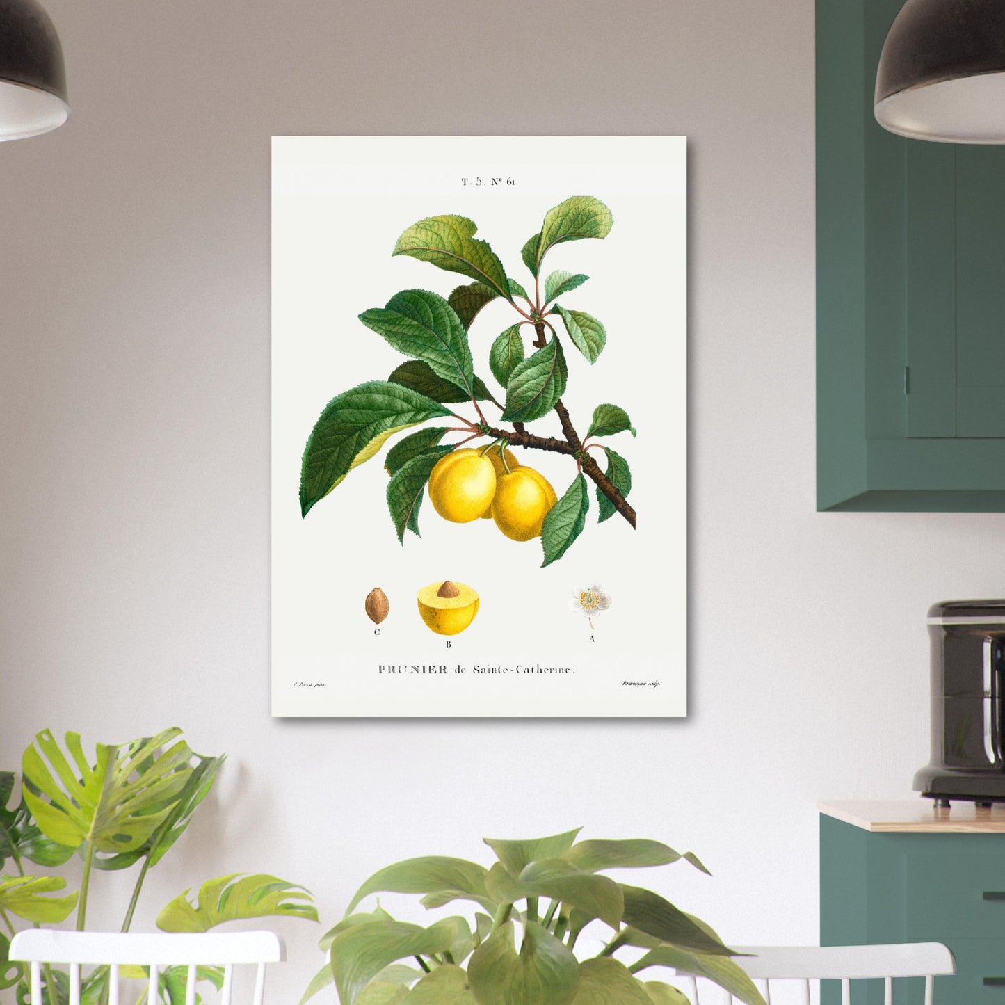 Lemon Branch
