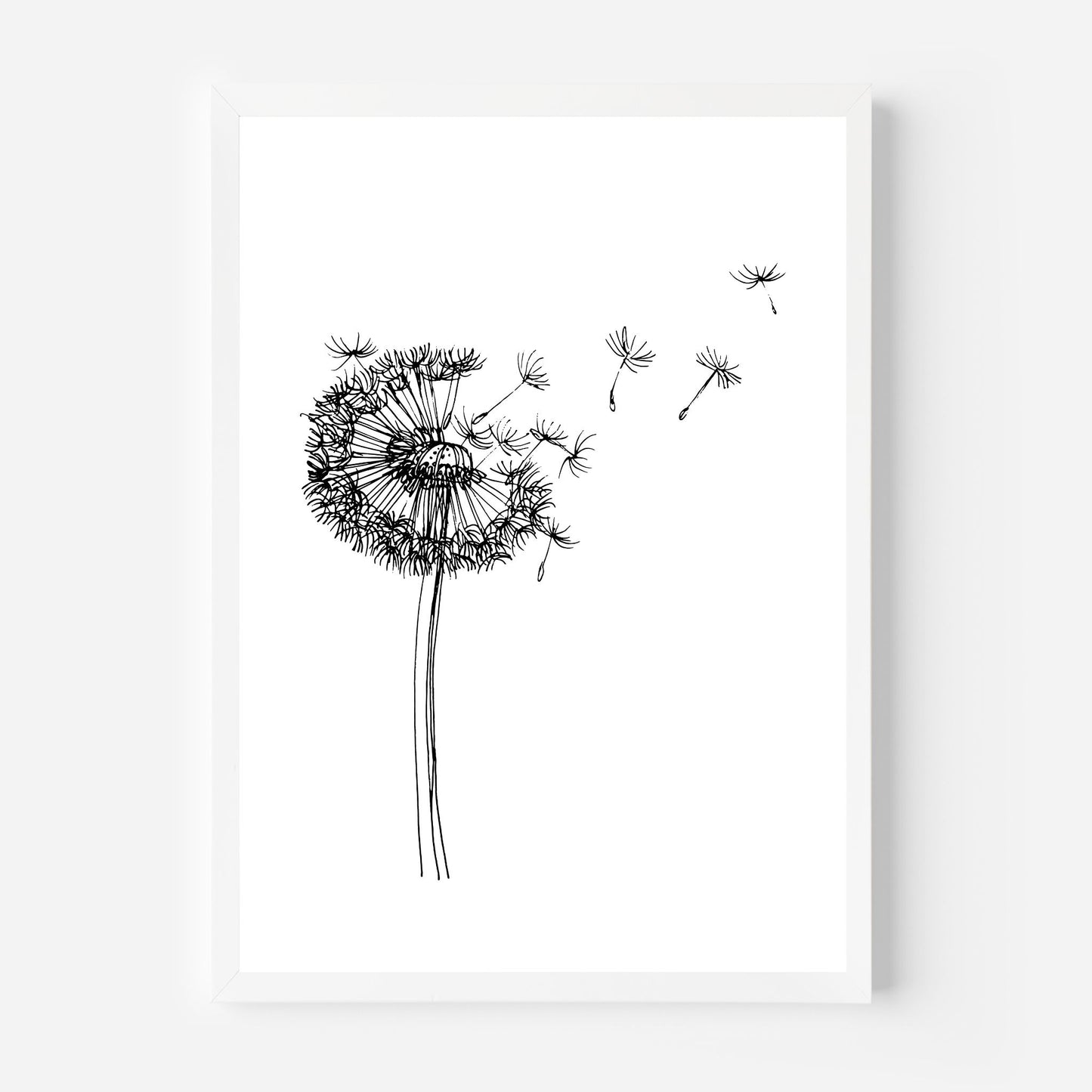 Dandelion 3