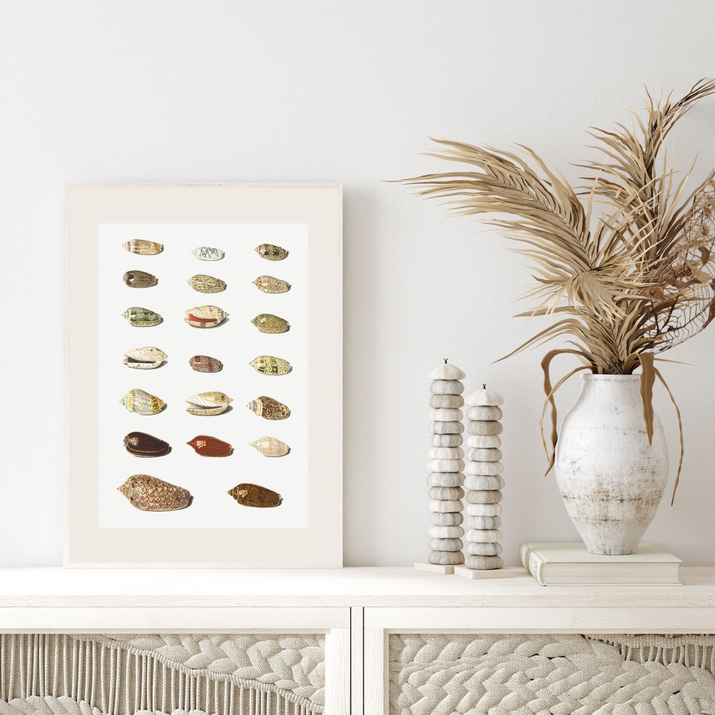 Seashells