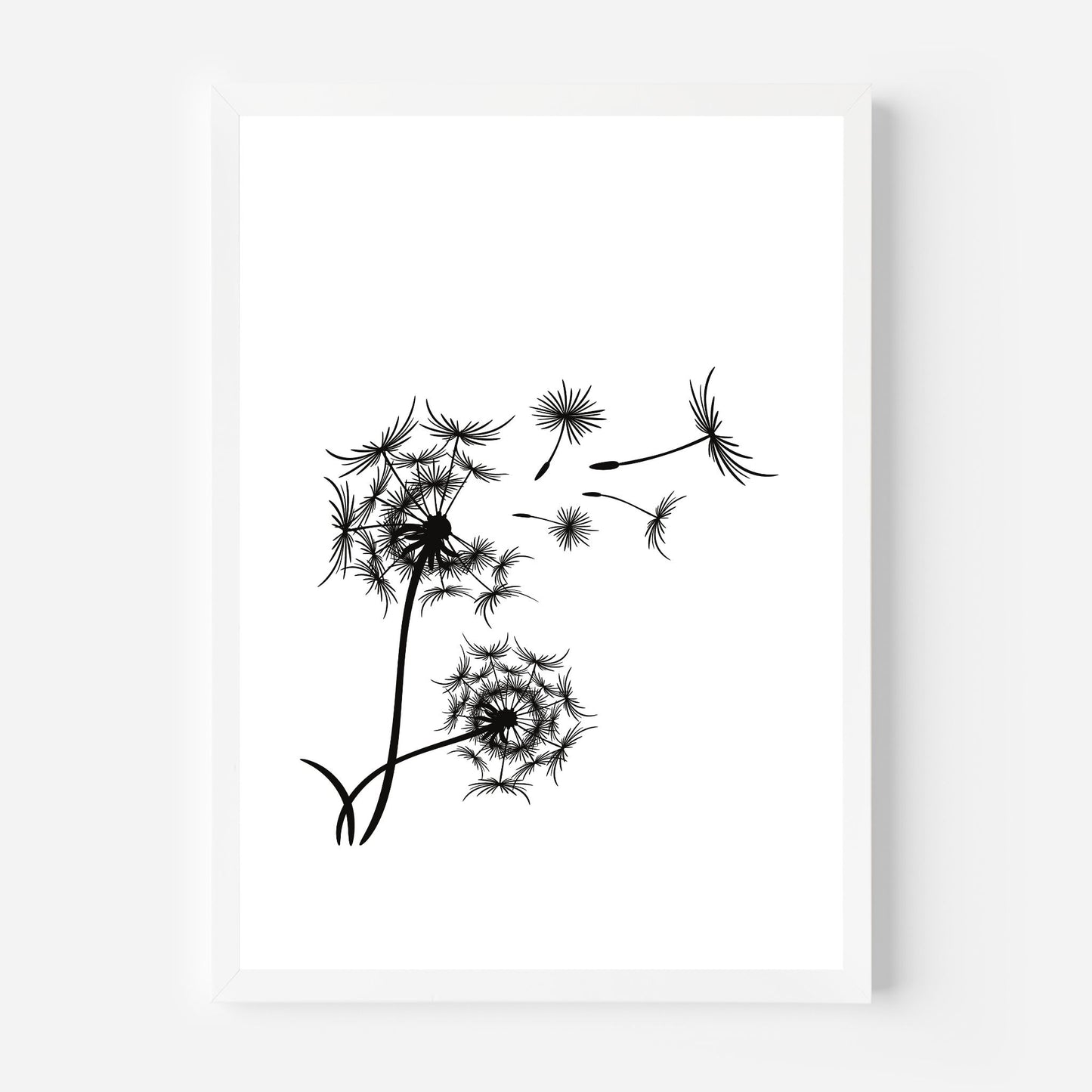 Dandelion 1